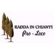 logo-proloco-radda-in-chian