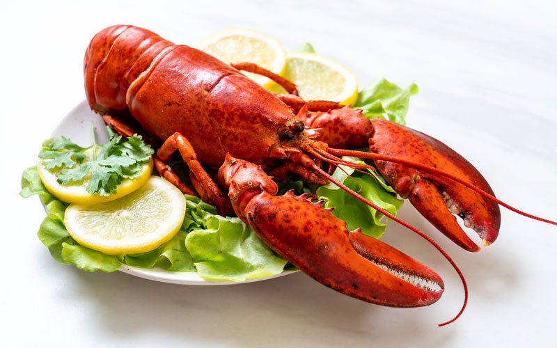 Come cucinare l'astice